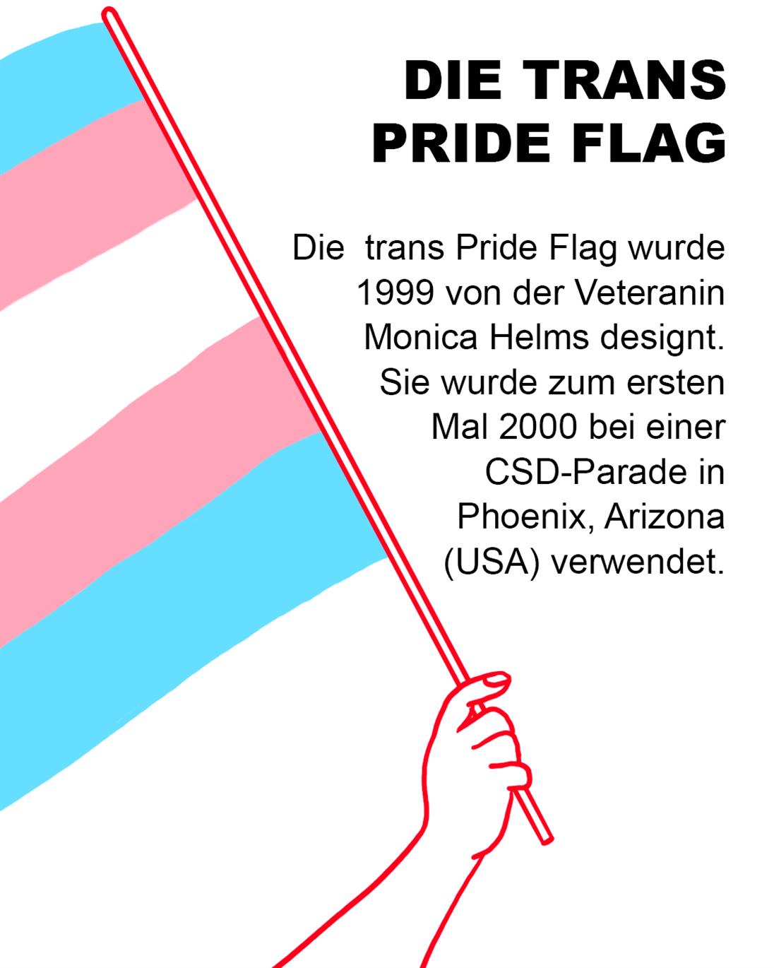Erläuterung zur Trans Pride Flag